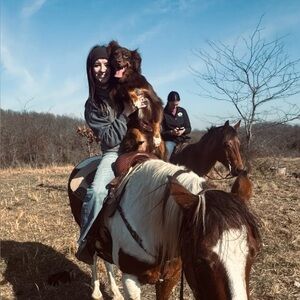 Meet your Posher, Avary